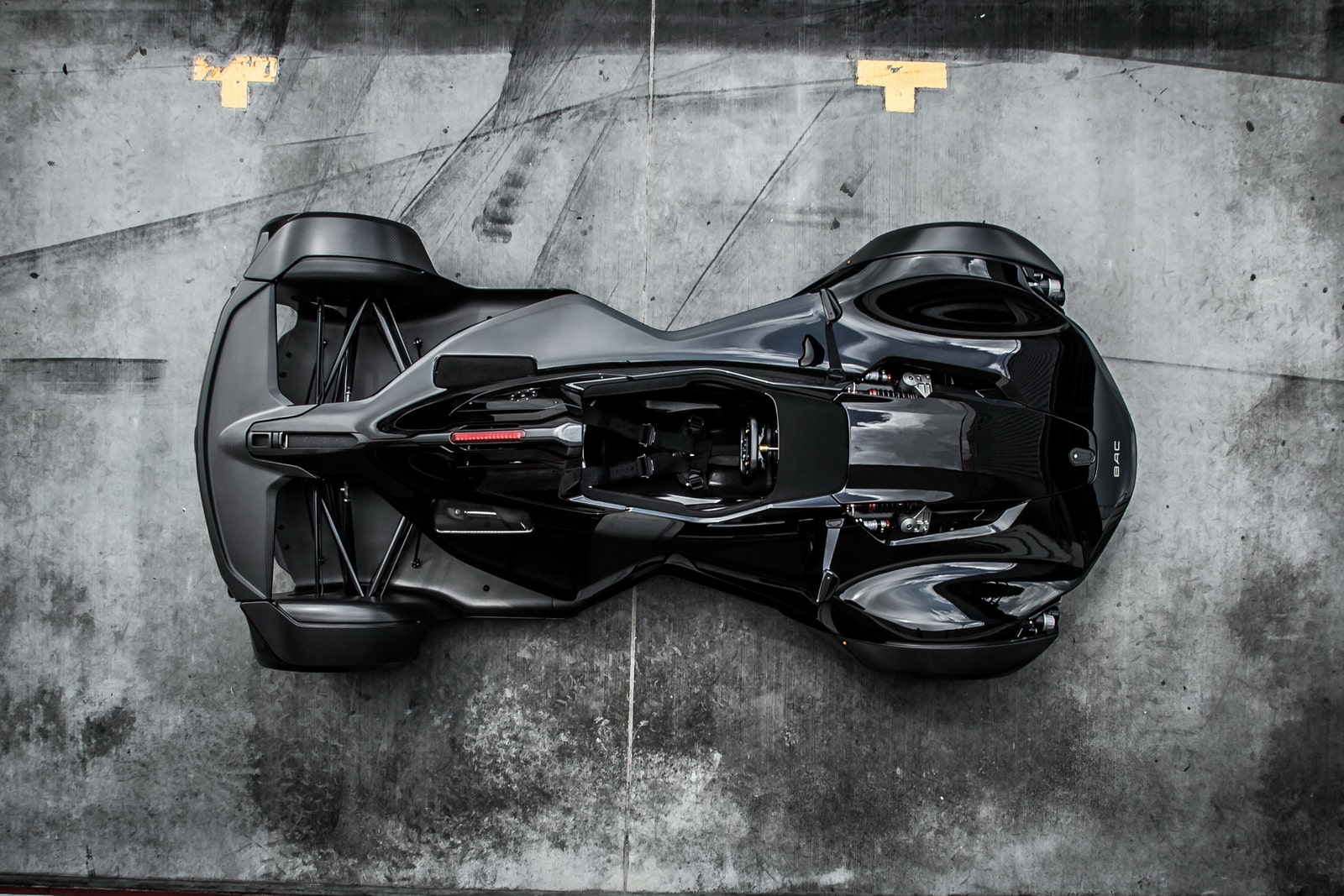 bac-mono-2017-6