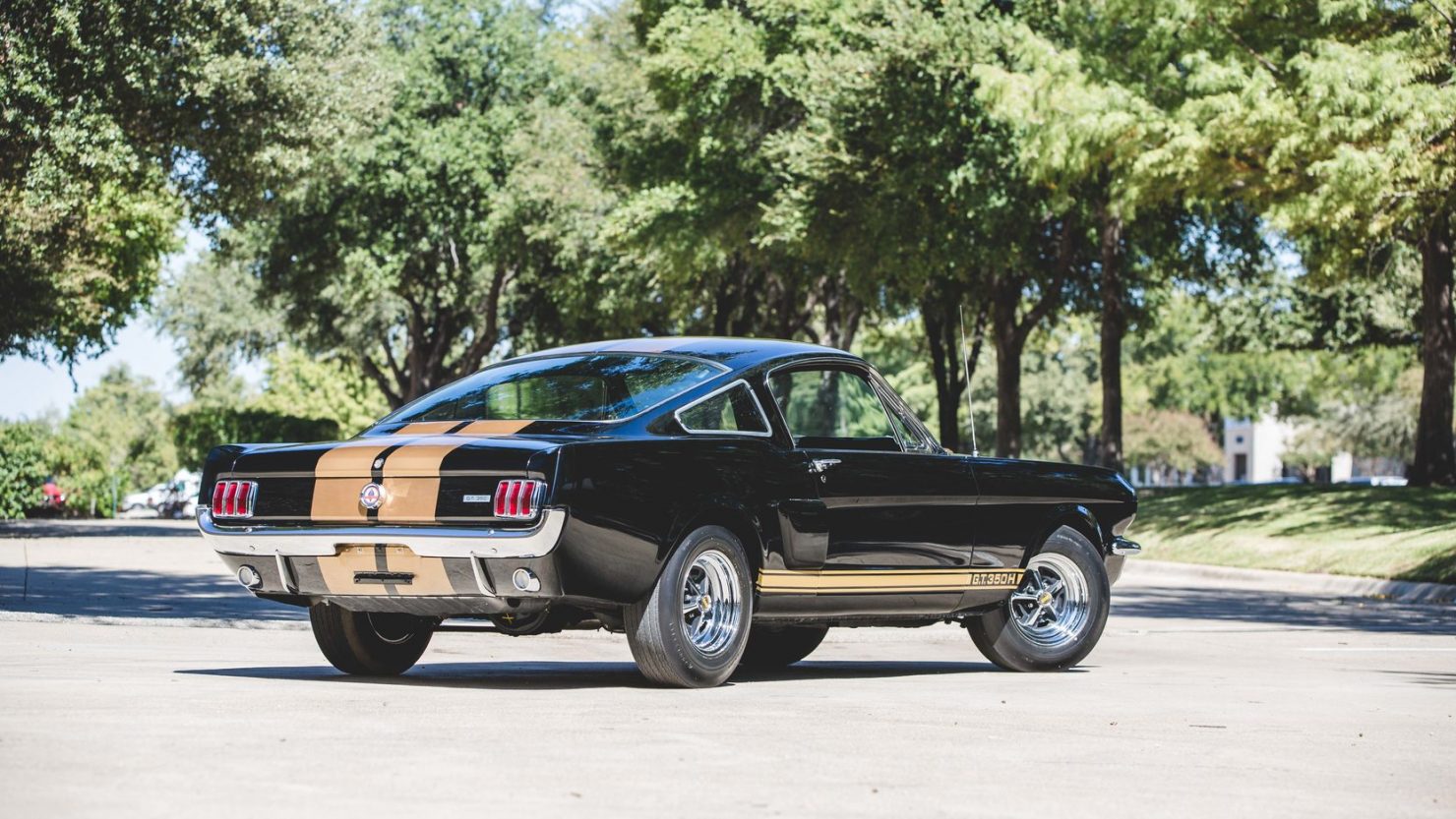 ford-mustang-shelby-gt350h-2