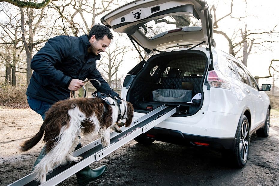 ¿Un coche para perros? No, en Nissan no se han vuelto locos, solo los consideran uno más de la familia