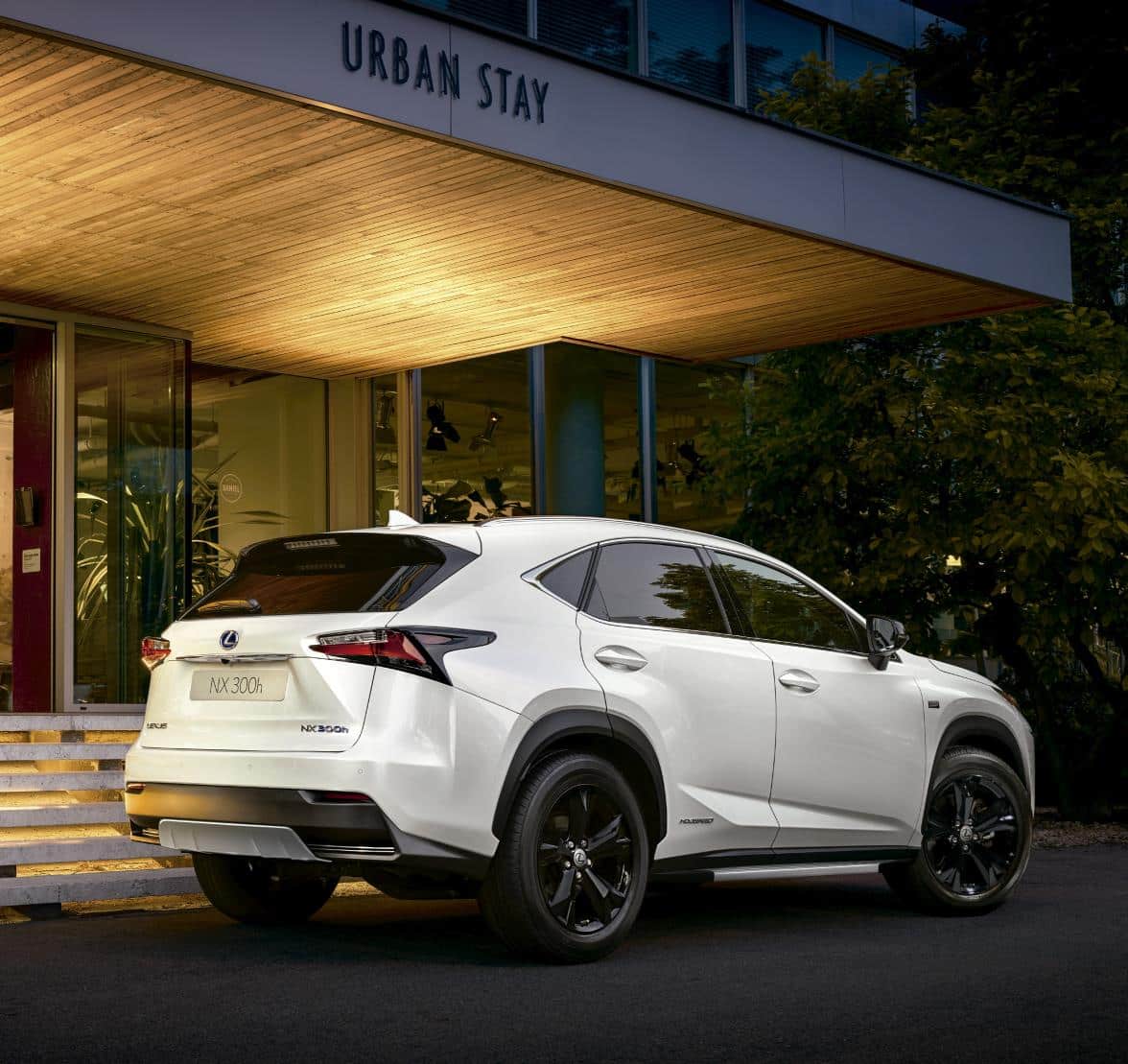 110002551-Lexus-NX-SE-Leaflet-SP_Hybrid-2