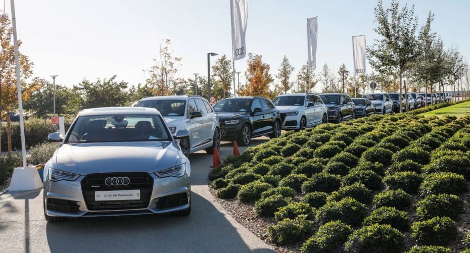 ¡Audi para todos!: Los jugadores del Real Madrid Baloncesto reciben sus nuevos coches…