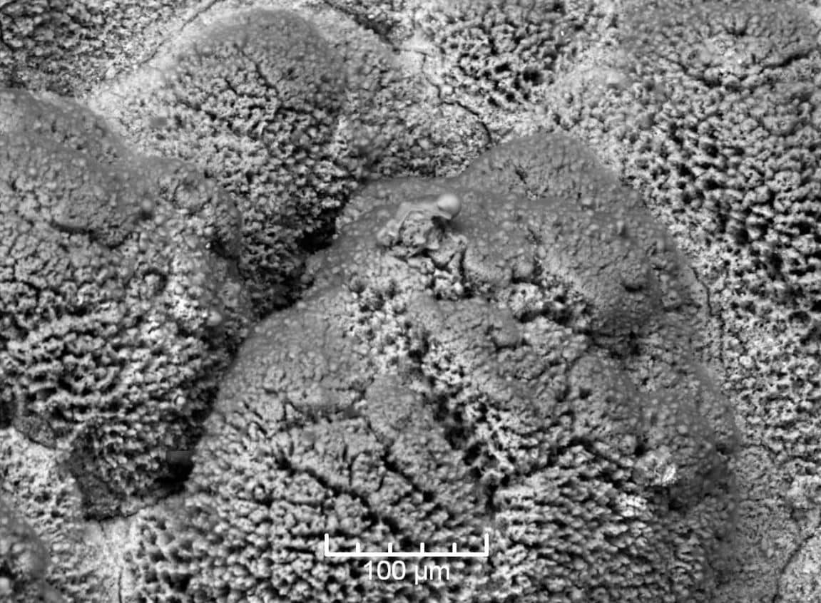 Impurezas del aceite de motor al microscopio