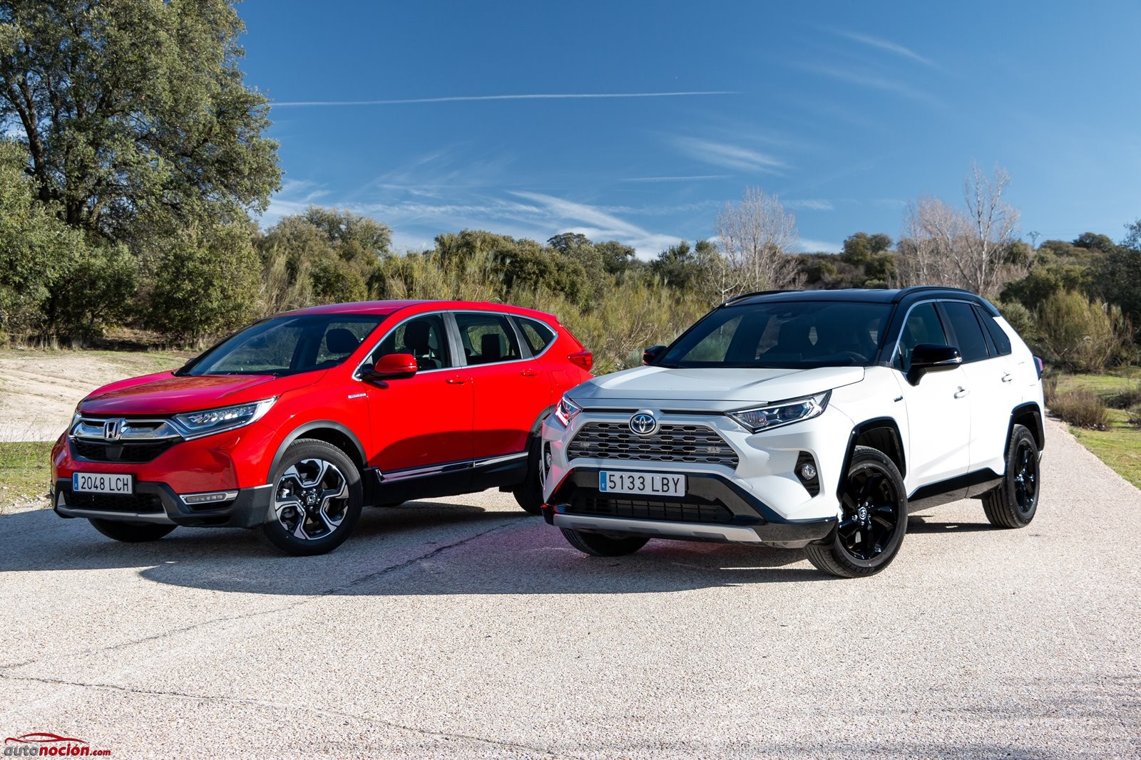 Comparativa Honda CRV y Toyota RAV4 híbridos 2020