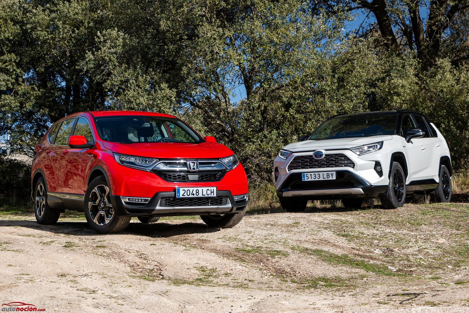 Comparativa Honda CRV y Toyota RAV4 híbridos 2020