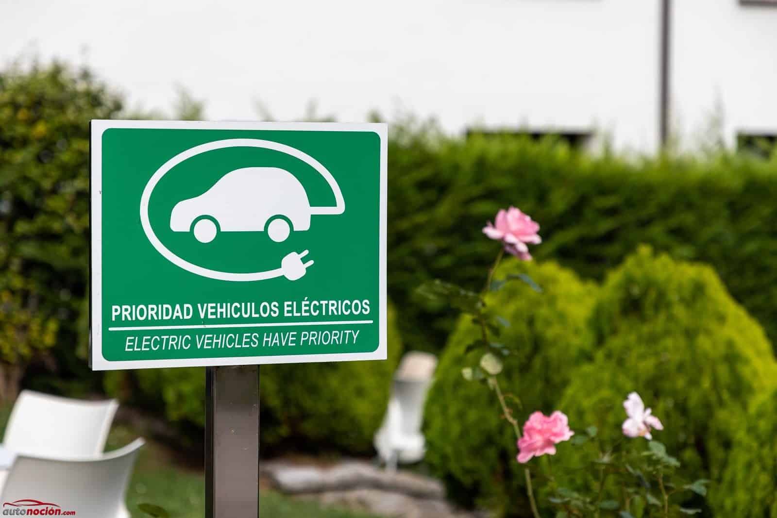 coche electrico cargador