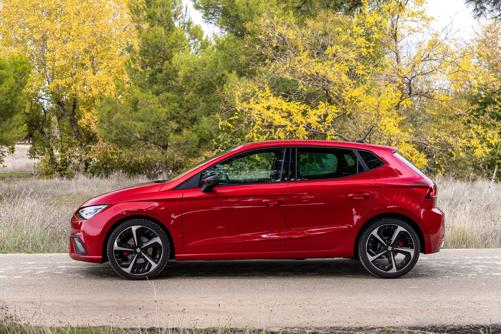 Seat Ibiza FR 1.5 TSI DSG, la opción compacta