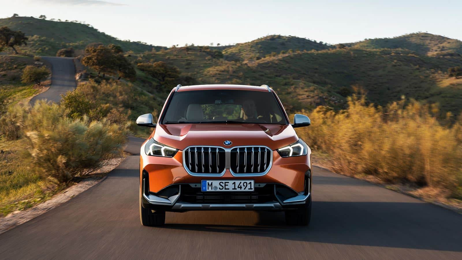 BMW X1