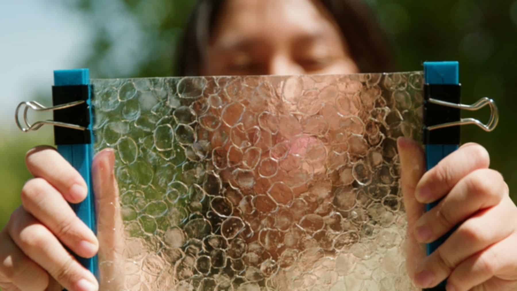Mientras Europa prohíbe los plásticos de un solo uso, una estudiante del MIT convierte las escamas de pescado que tiraba la industria pesquera en bolsas y cubiertos que se compostan en casa