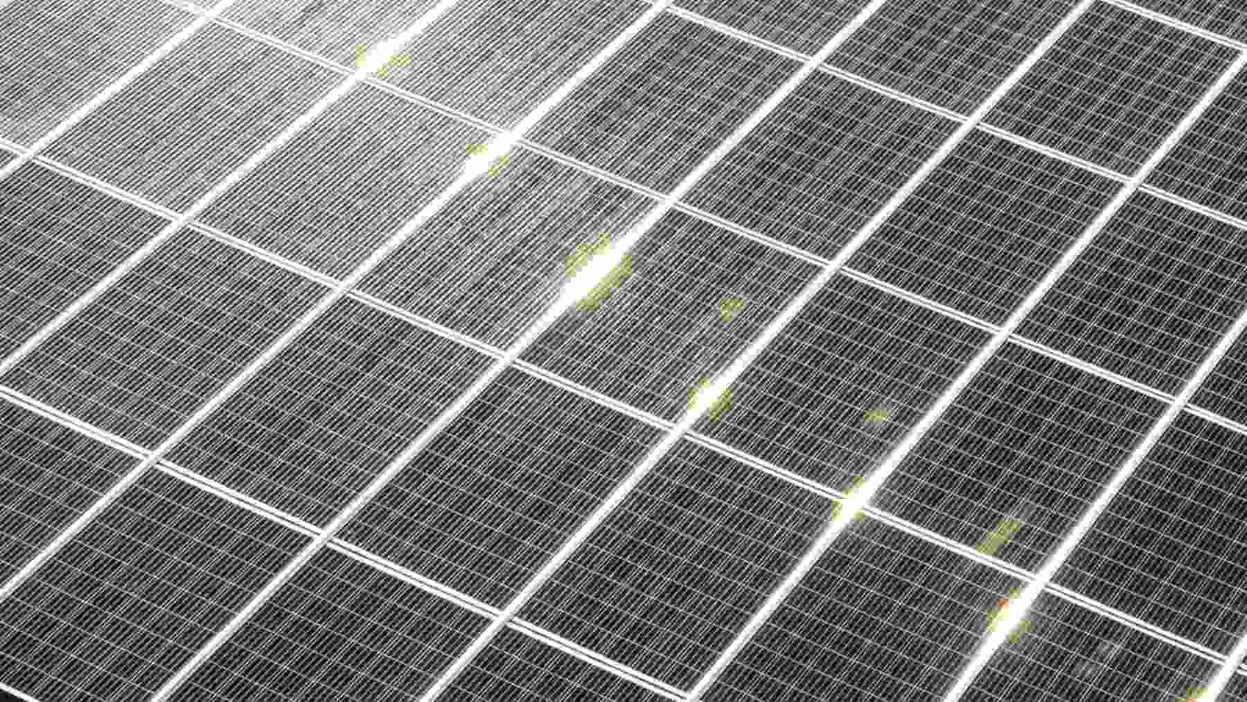 Ni agua a presión ni robots: el invento que limpia las placas solares solas y sube su producción un 25%