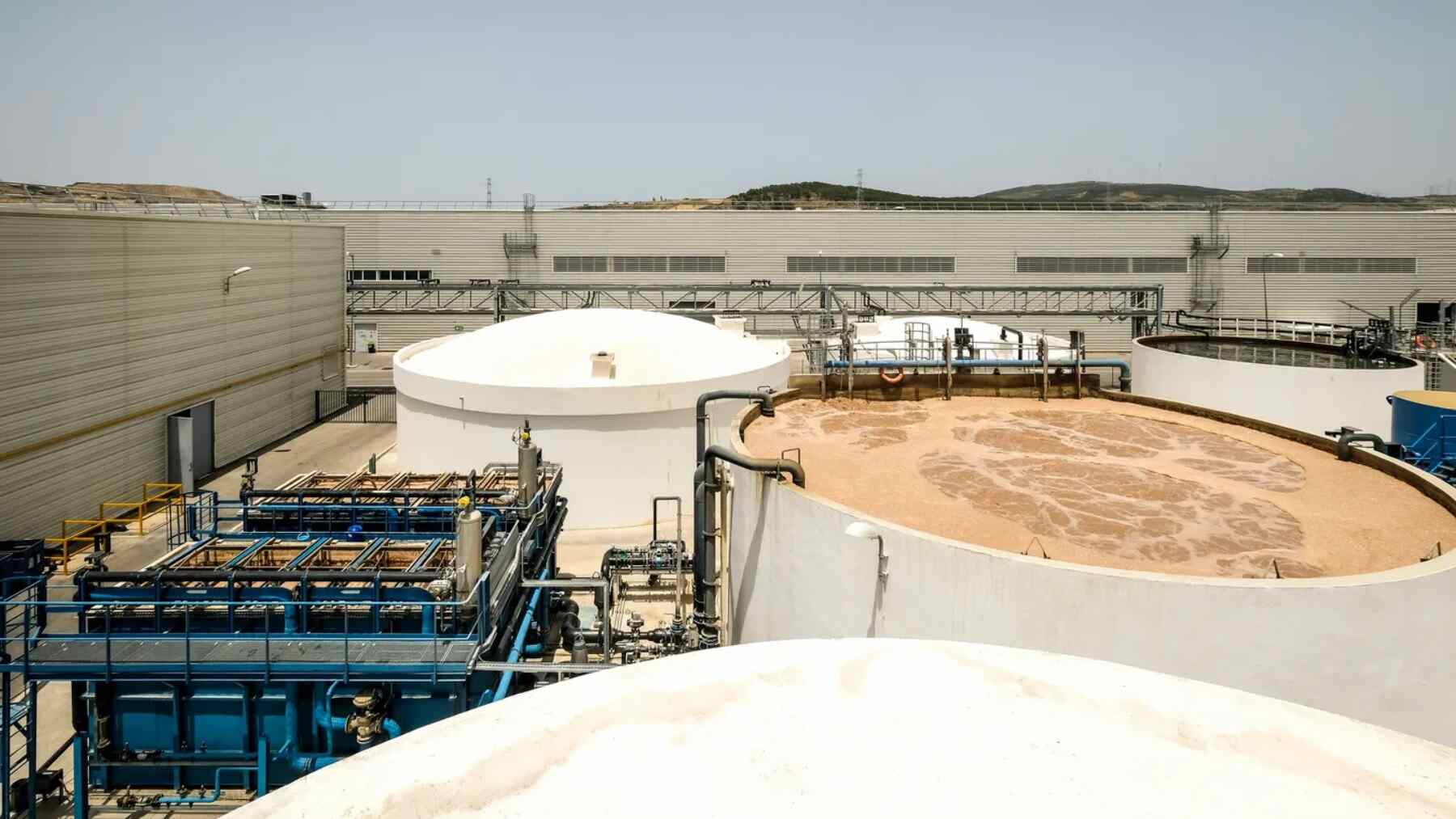 Los huesos de aceituna dejan de ser basura para convertirse en el combustible de las furgonetas de Renault: 14.000 toneladas de biomasa, electricidad eólica y agua reciclada al 100% para evitar 100.000 toneladas de CO₂ al año