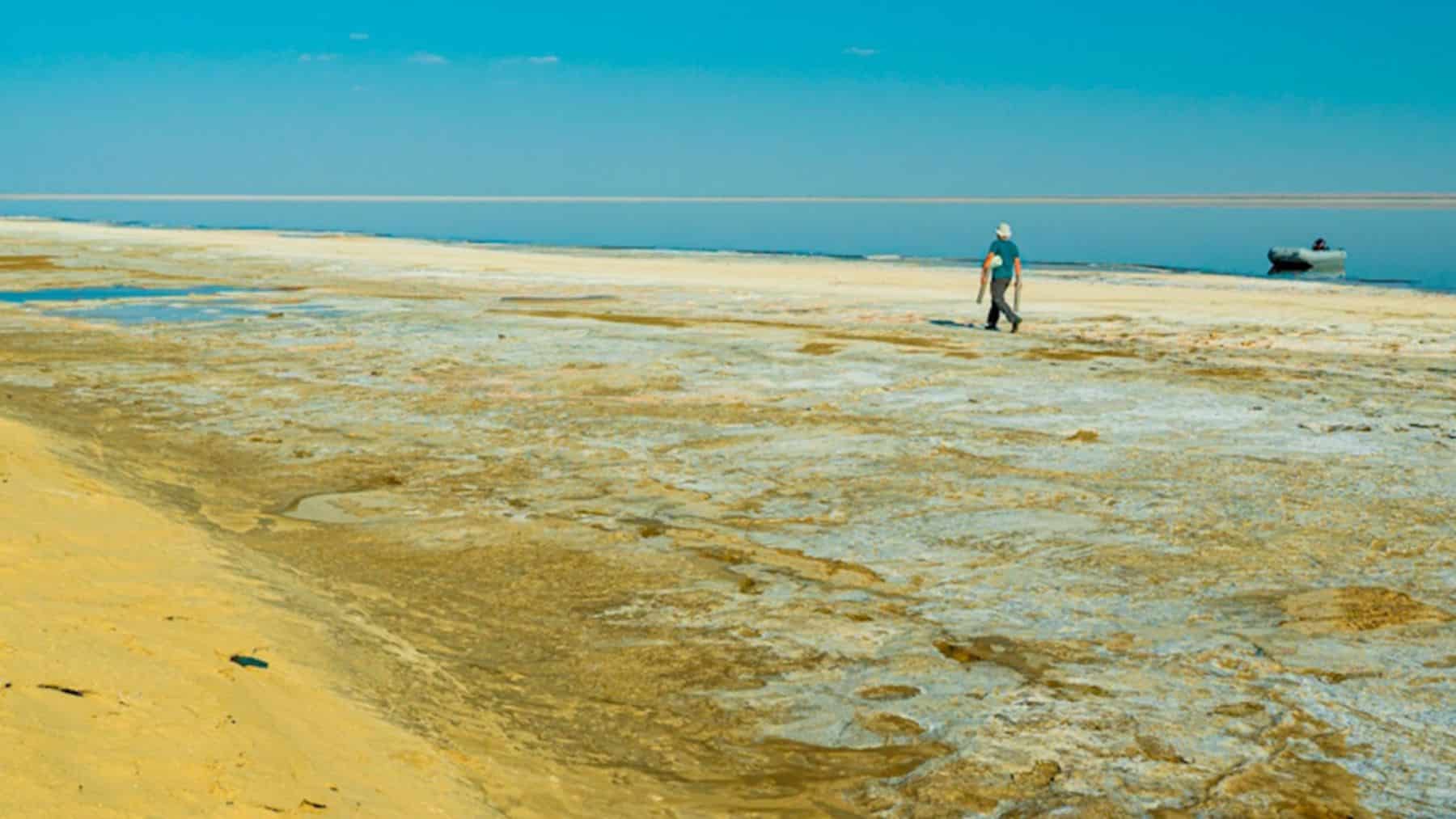 El mayor desastre ecológico de Asia Central es también una oportunidad climática de miles de millones de dólares: reinundar el Mar de Aral podría evitar emisiones equivalentes a casi tres años de CO₂ de toda España y generar créditos de carbono valorados entre 3.600 y 18.000 millones
