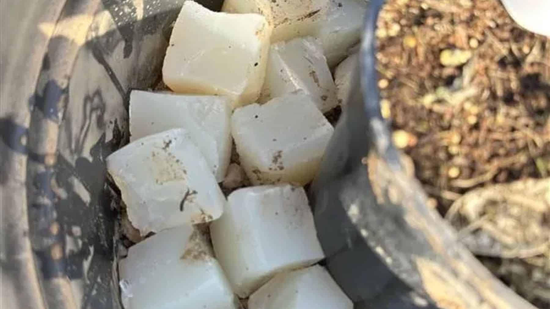 95% agua, 0% microplásticos y un 25% menos de riego: el invento español que convierte el agua en sólido biodegradable para que tus plantas sobrevivan a tus vacaciones sin que tengas que pedirle el favor al vecino