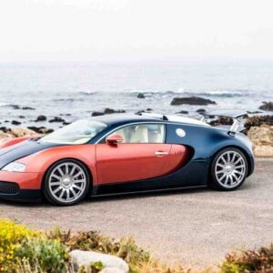 Bugatti Veyron 20 Years (10)