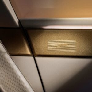Jaguar Type 01 Interior Puertas