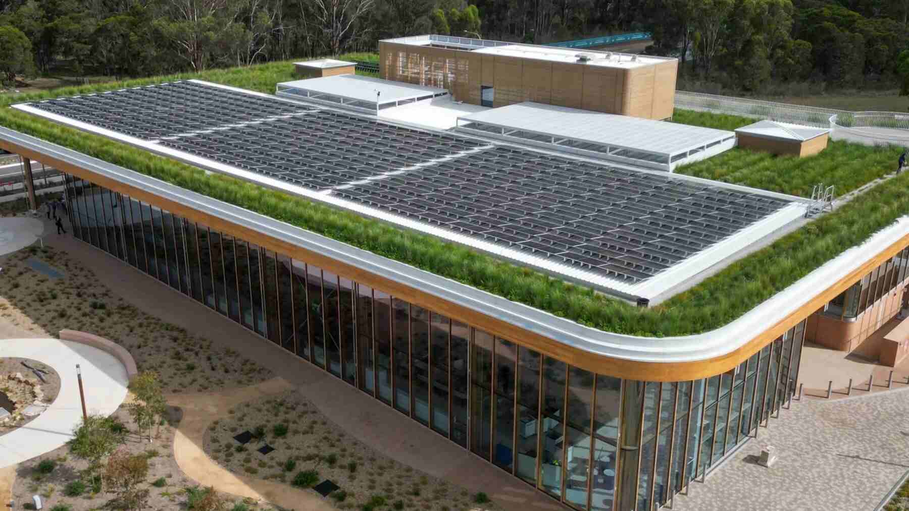 28°C menos, 23% más de energía y un ecosistema en el tejado: el techo biosolar que puede salvar las ciudades del calor
