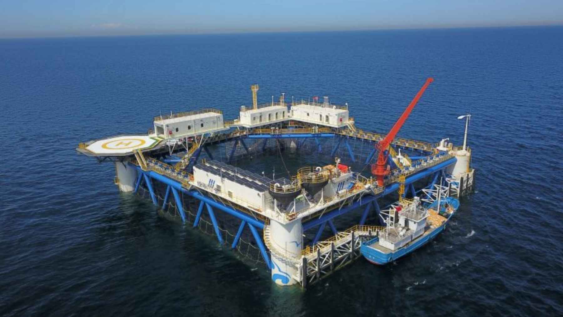 El bambú ya no es solo para muebles o andamios: China lo ha usado para construir una plataforma solar flotante de 100 kW en el mar de Shandong, con un compuesto de madera y bambú pretensado que promete resistencia a la corrosión y bajo peso