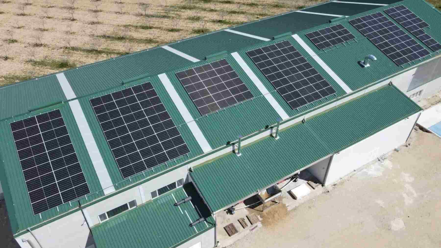 60 kW de solar, 108 kWh de baterías y cero conexión a la red: la planta de pistachos de Cuenca funciona solo con energía renovable