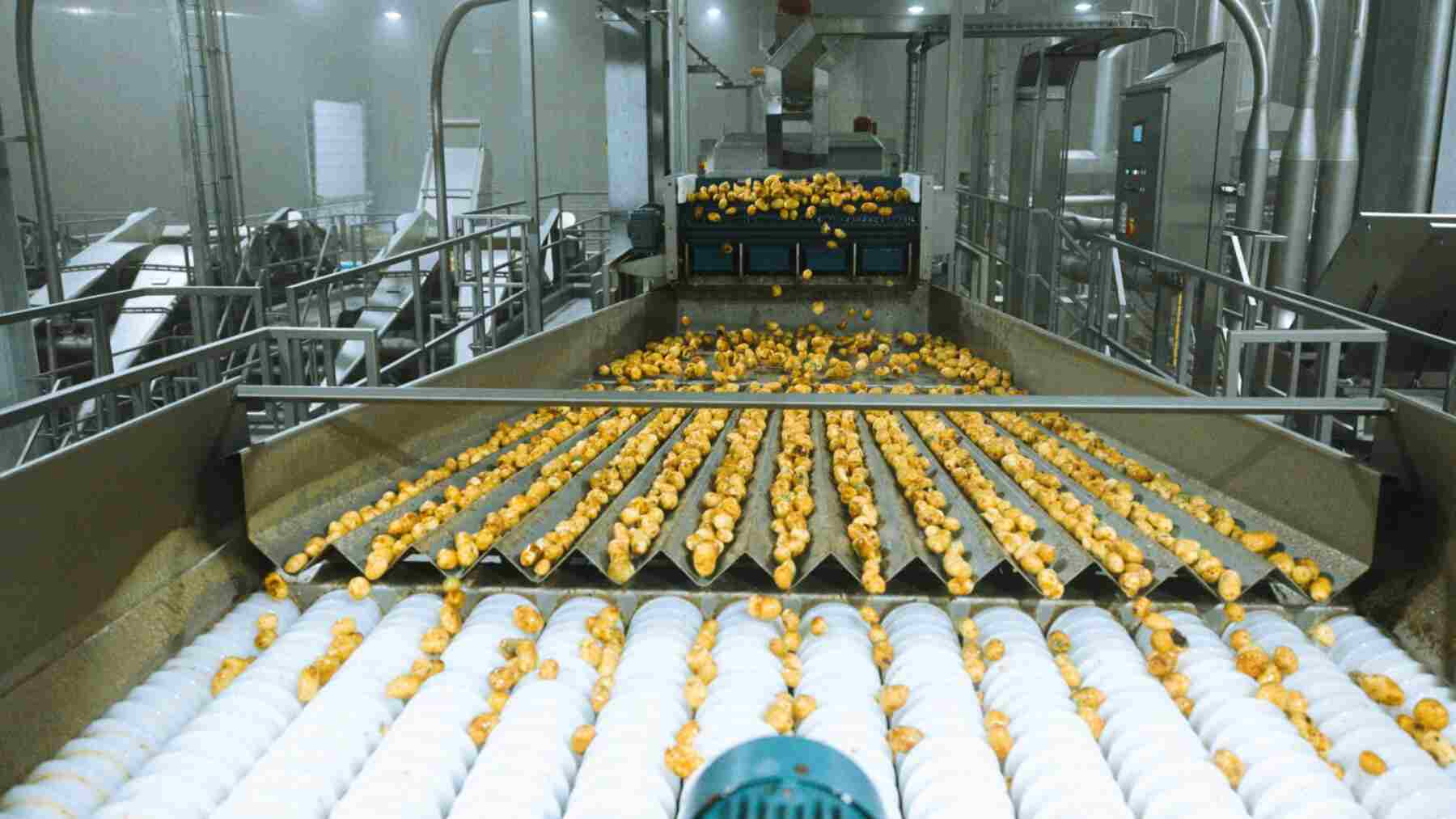 La misma tecnología que identifica anomalías en el plasma de un reactor de fusión nuclear se ha usado para ahorrar agua y electricidad en una fábrica de patatas fritas congeladas: la inferencia bayesiana no entiende de límites
