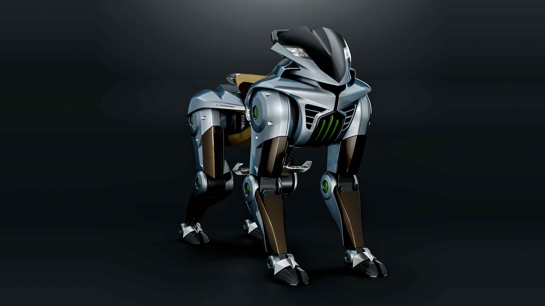 kawasaki corleo