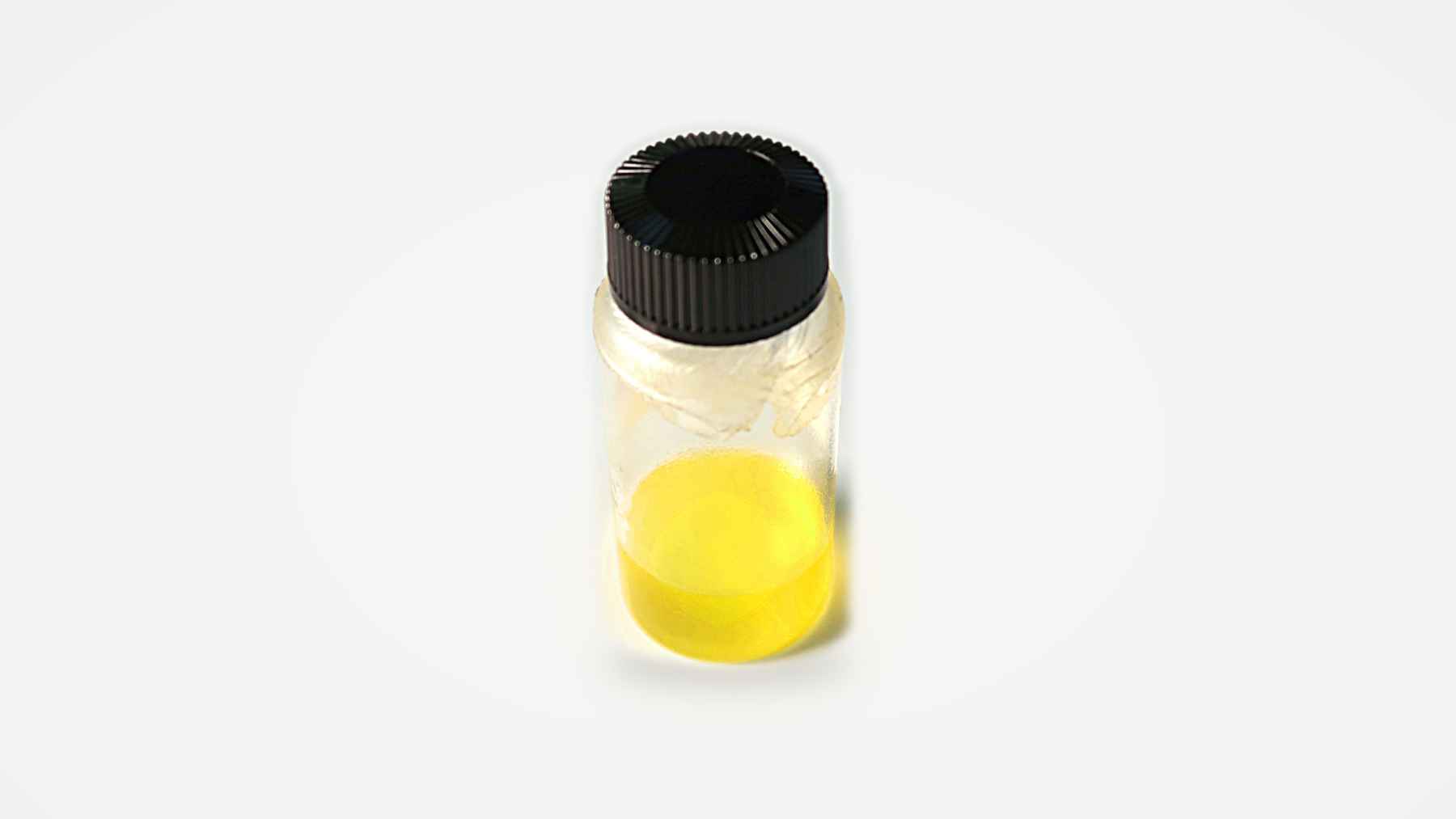 biodiesel mazda